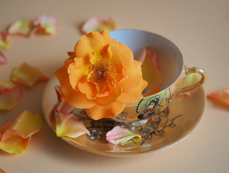 Tea Cup